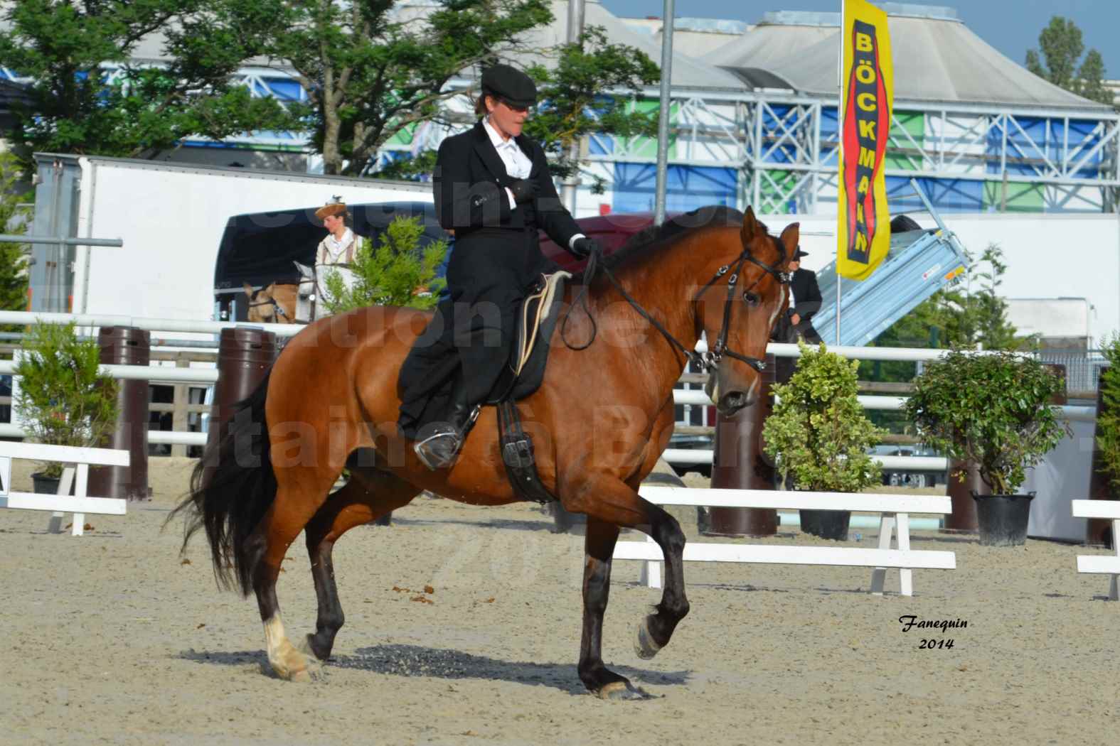 Salon Equitaine de Bordeaux en 2014 - concours Equitation de travail - Épreuve de Dressage - 08