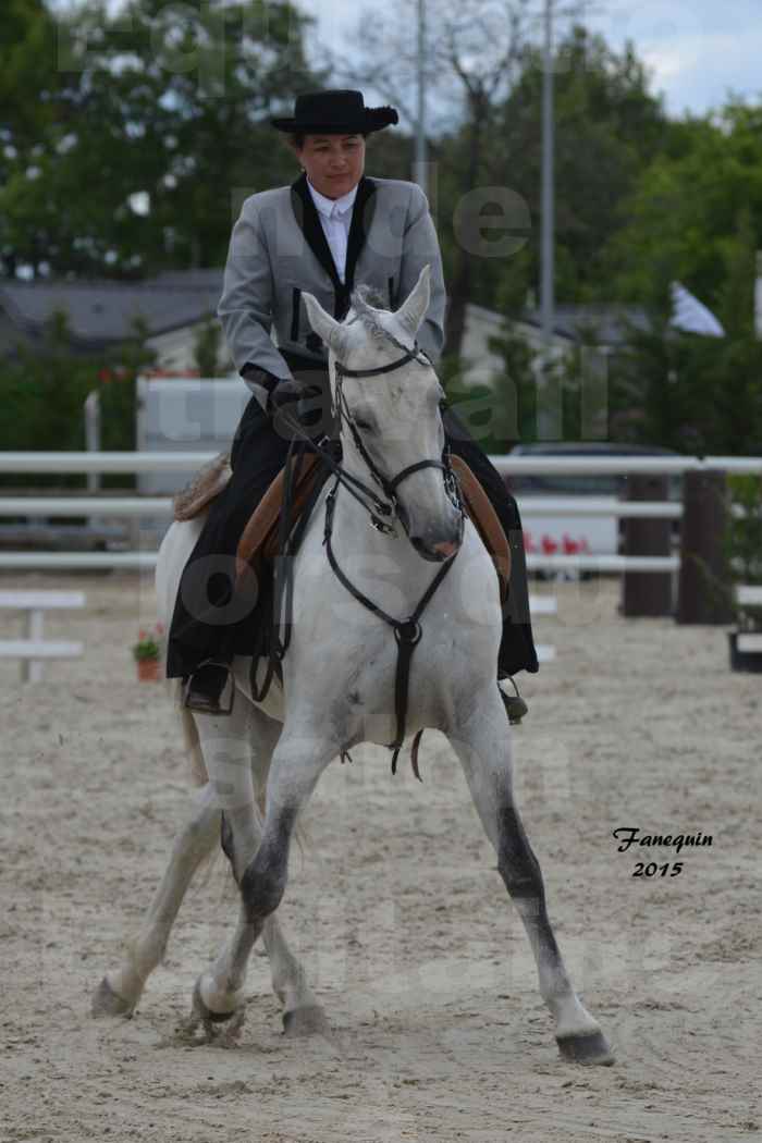 Salon Equitaine de Bordeaux 2015 - Concours d'Equitation de Travail avec chevaux Ibériques - V - 08