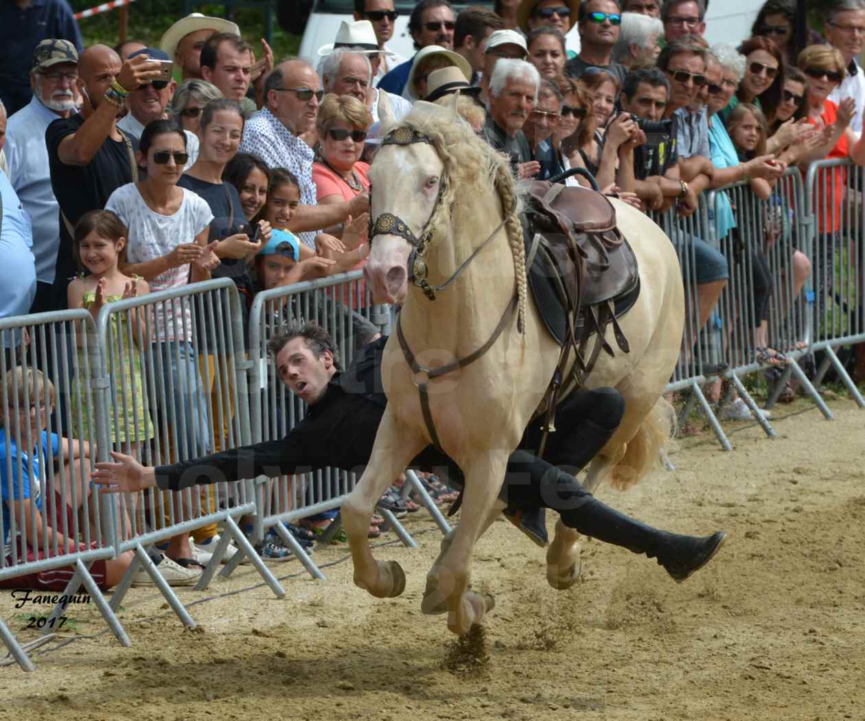 Spectacle Équestre - Salon Pêche Chasse Nature à Saint Gely du Fesc - 