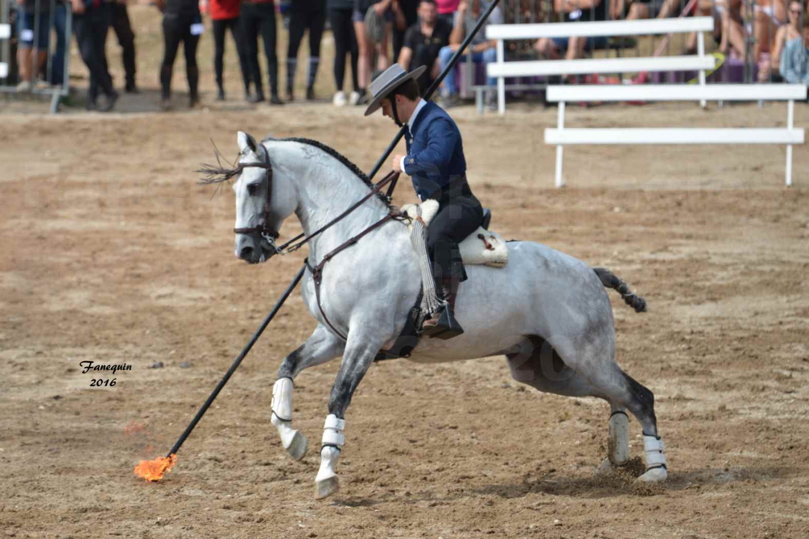 Spectacle équestre le 4 Septembre 2016 au Domaine de GAILLAC - Démonstration de Doma Vaquera - 17