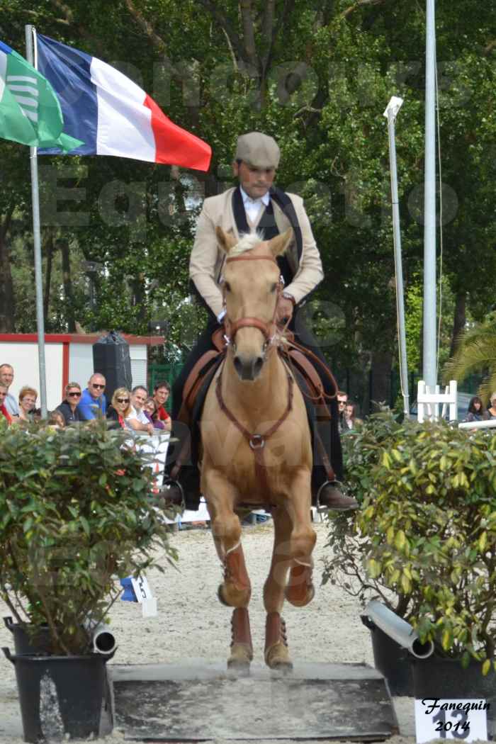 Salon Equitaine de Bordeaux en 2014 - concours Equitation de travail - Épreuve de Maniabilité chronométré - D - 17