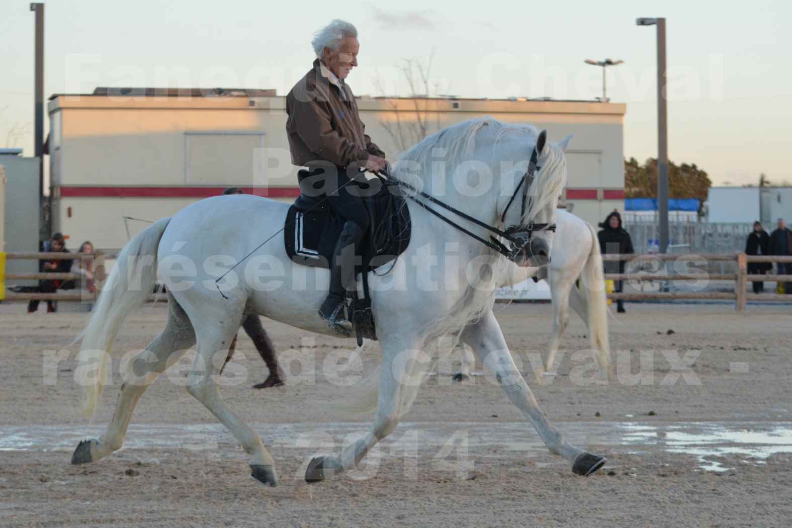 Cheval Passion 2014 - Etalon "GALAN"  blanc écurie Alain LAUZIER - Notre Sélection - 03