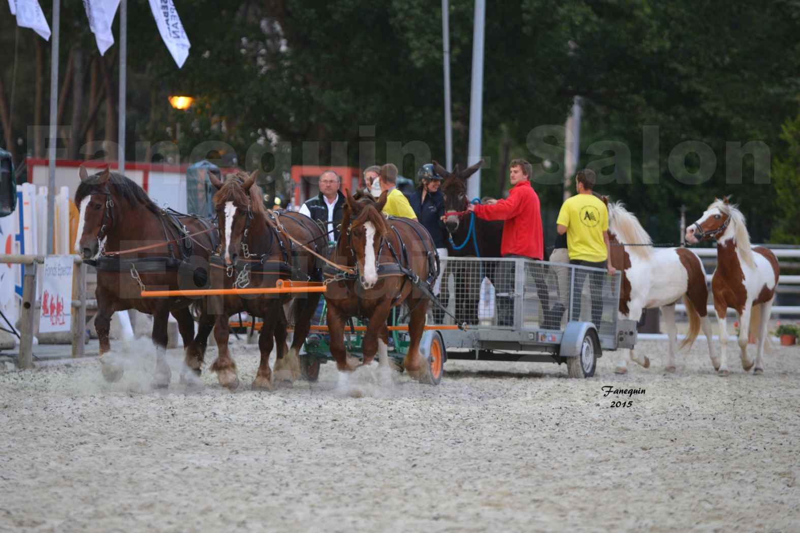 Salon Equitaine de Bordeaux 2015 - Démonstration d'attelage à 3 chevaux de front - 06