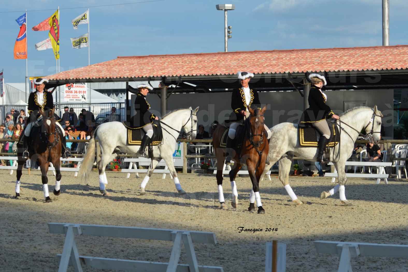 Carrousel de cavalières Equitation de travail lors du salon "Equitaine" à Bordeaux en 2014 - 06