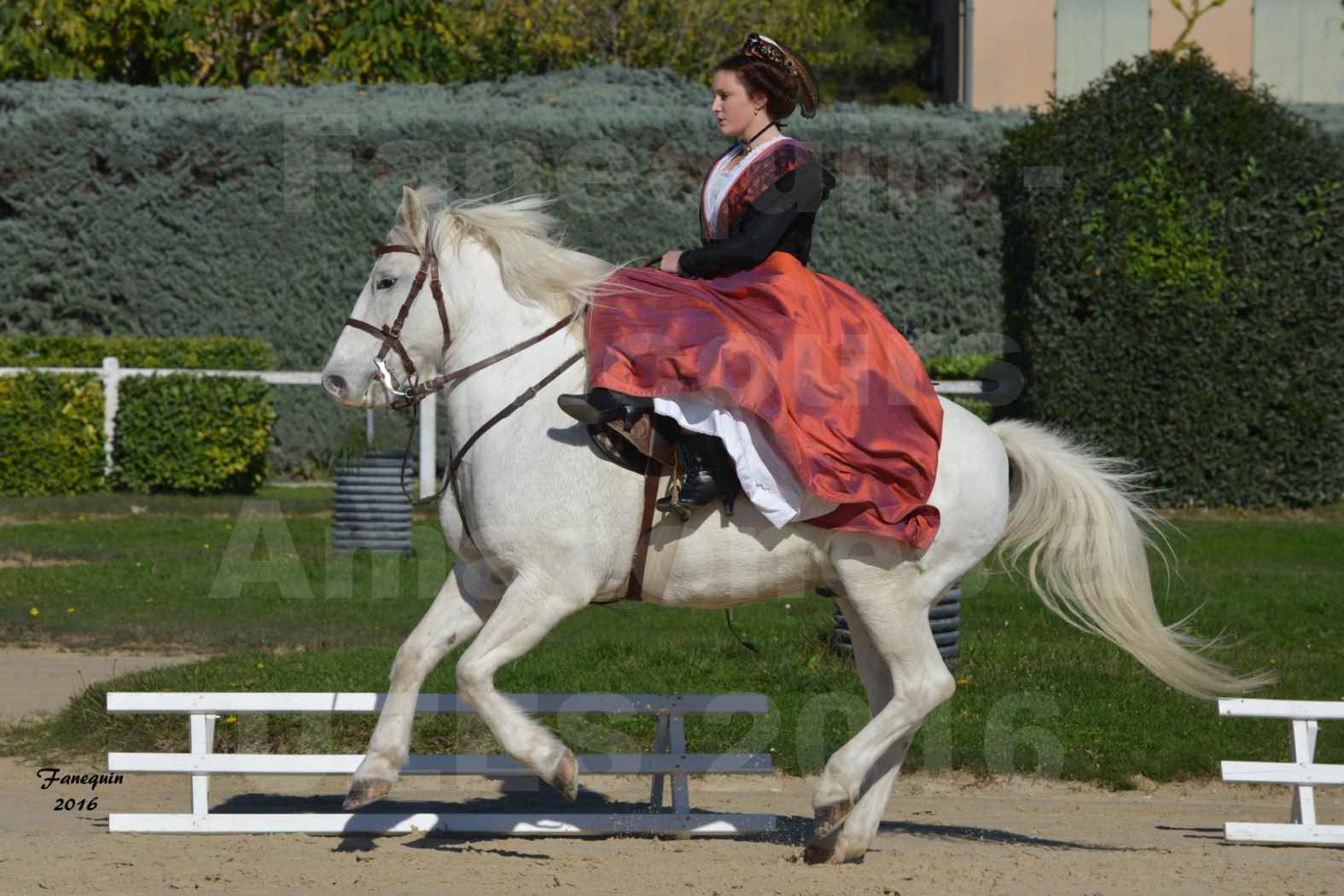 Concours Élégance d'Amazone au Haras d'UZES en Octobre 2016 - Léa CONTE - 04