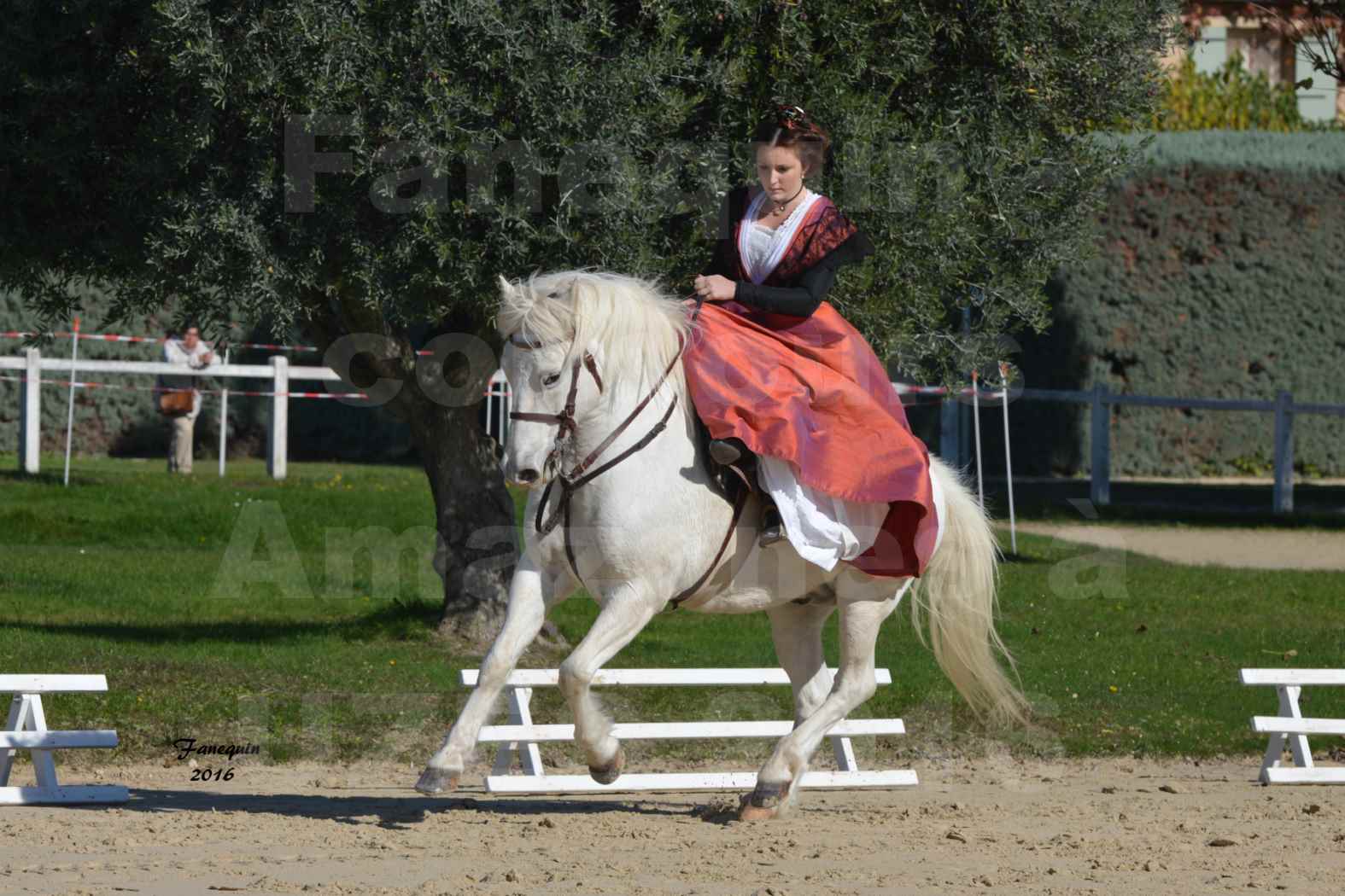 Concours Élégance d'Amazone au Haras d'UZES en Octobre 2016 - Léa CONTE - 03