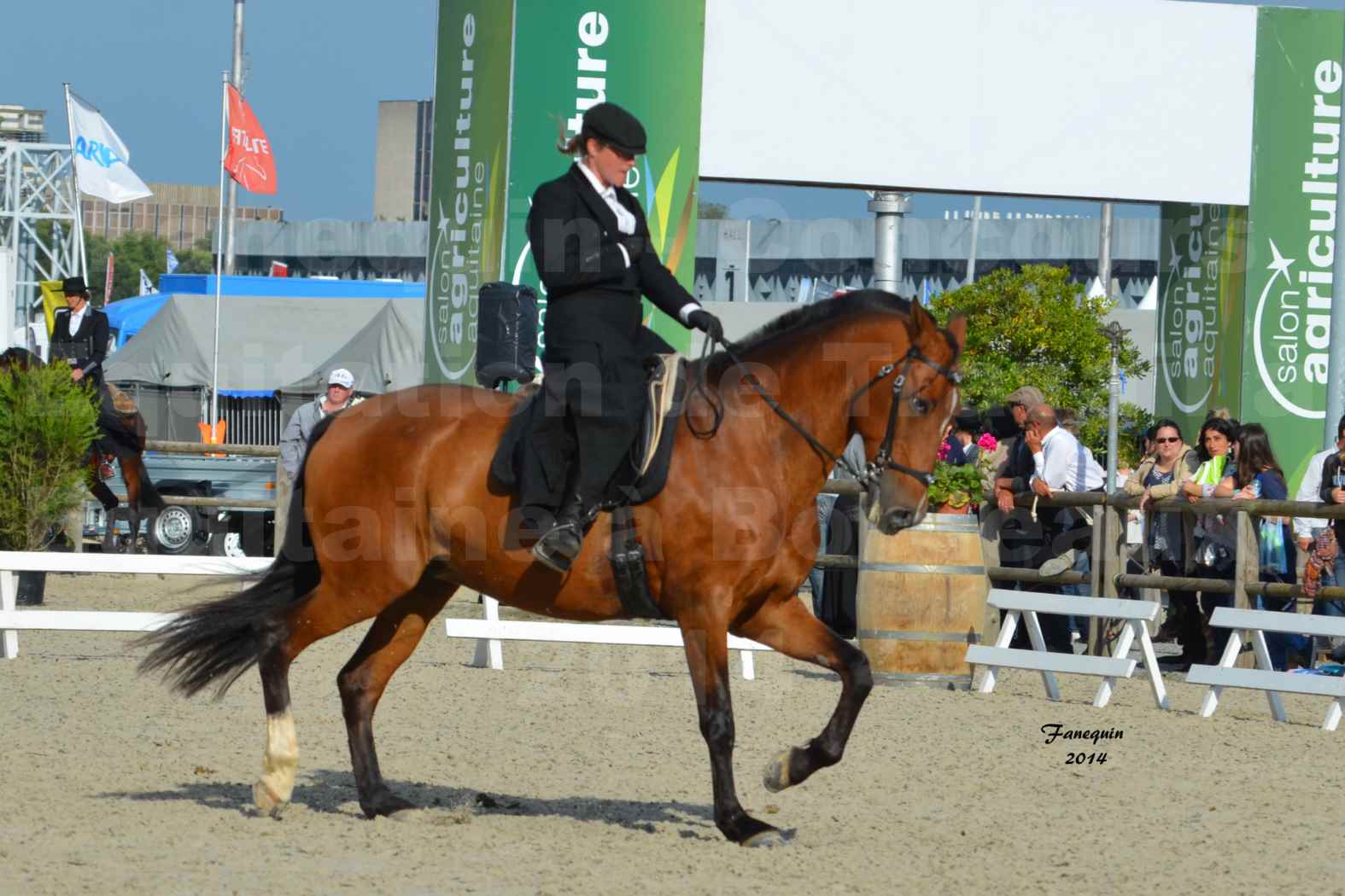 Salon Equitaine de Bordeaux en 2014 - concours Equitation de travail - Épreuve de Dressage - 14