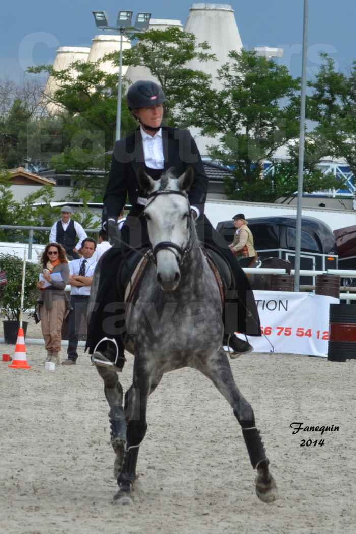 Salon Equitaine de Bordeaux en 2014 - concours Equitation de travail - Épreuve de Maniabilité chronométré - C - 2