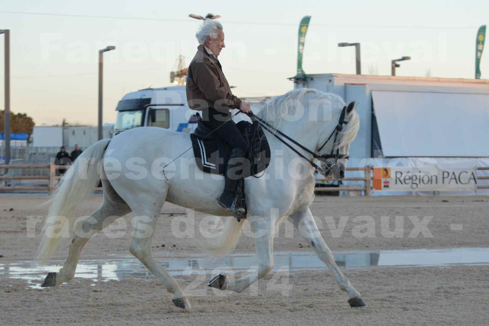 Cheval Passion 2014 - Etalon "GALAN"  blanc écurie Alain LAUZIER - Notre Sélection - 04