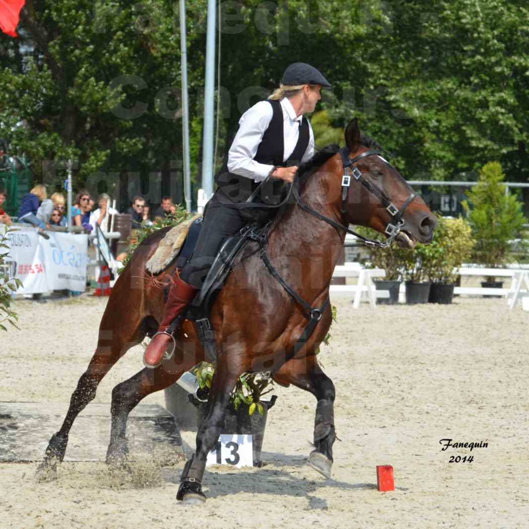 Salon Equitaine de Bordeaux en 2014 - concours Equitation de travail - Épreuve de Maniabilité chronométré - E - 13