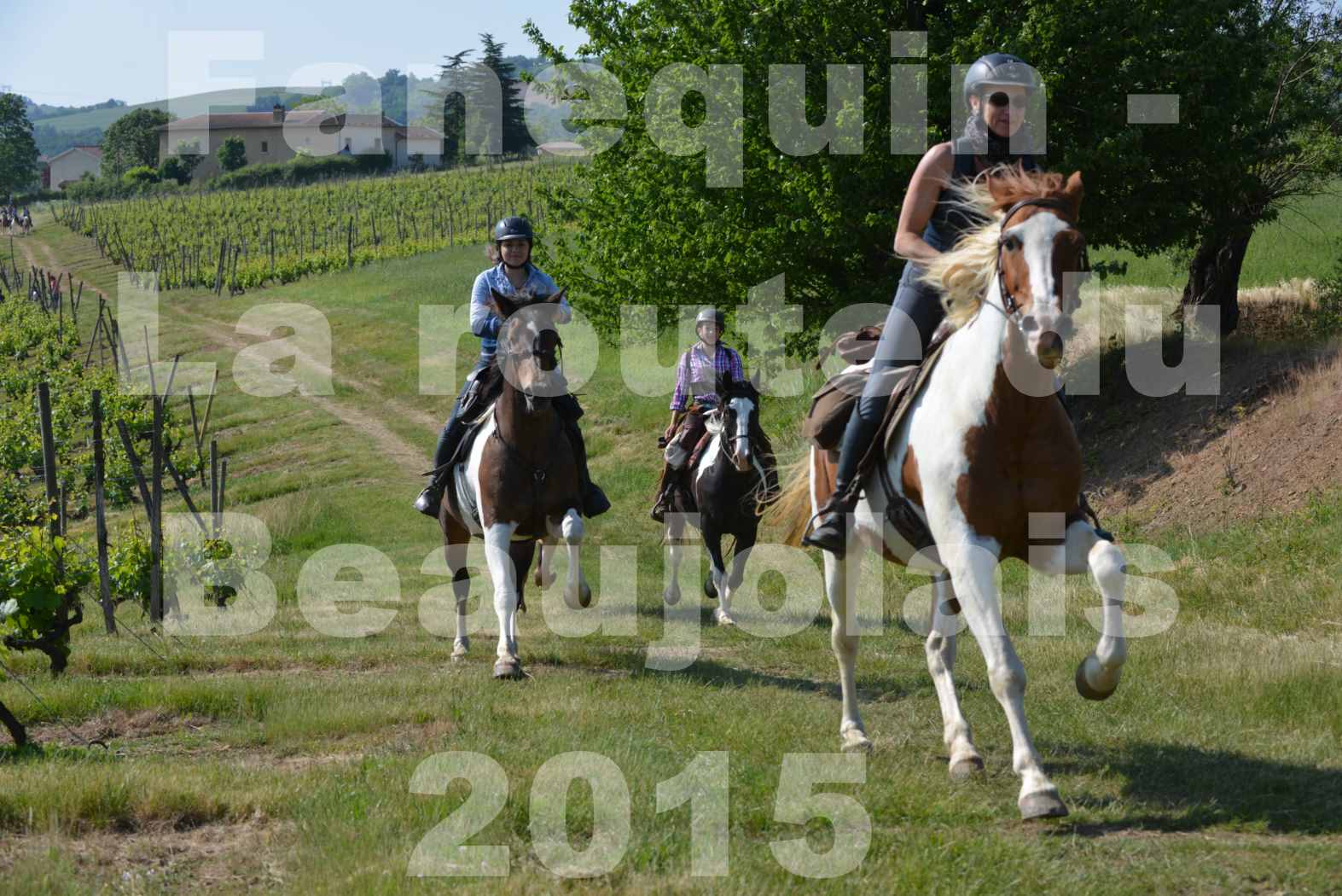 La Route Du Beaujolais 2015 - dimanche 24 mai 2015 - parcours en matinée - 42