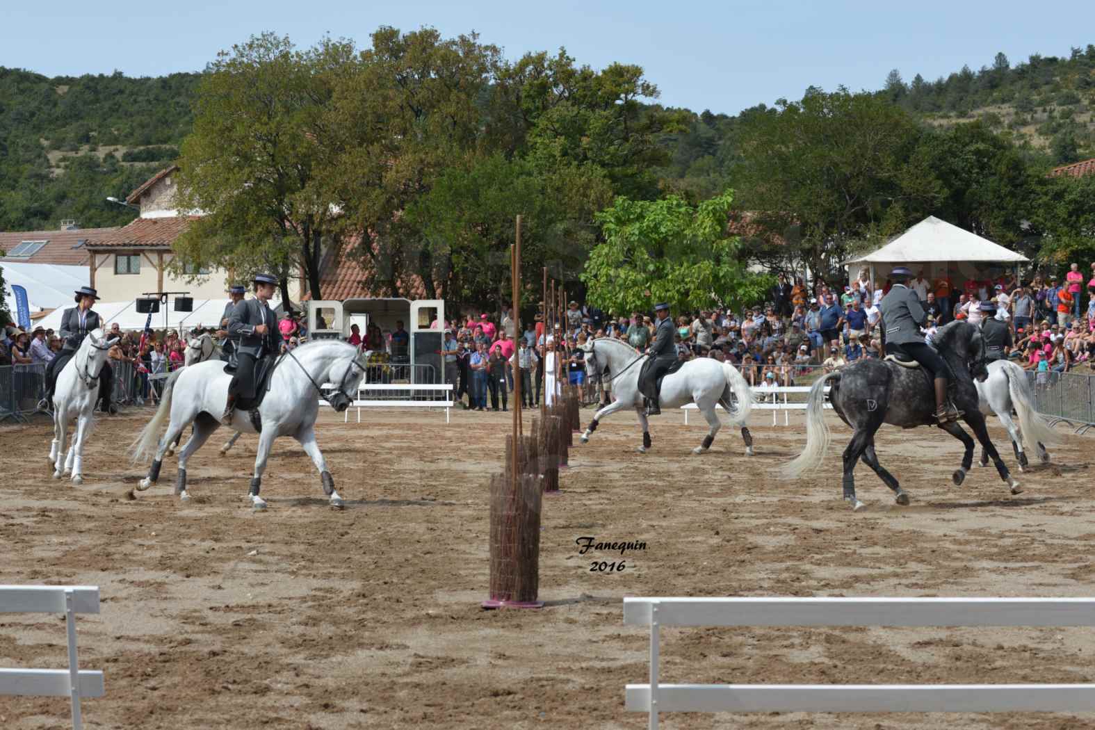 Spectacle équestre le 3 Septembre 2016 au Domaine de GAILLAC - Démonstration de CARROUSEL de chevaux LUSITANIENS - 06