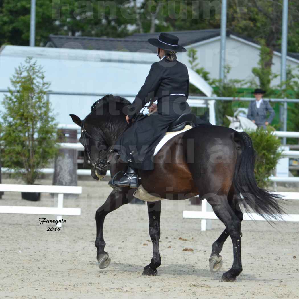 Salon Equitaine de Bordeaux en 2014 - concours Equitation de travail - Épreuve de Dressage - 03