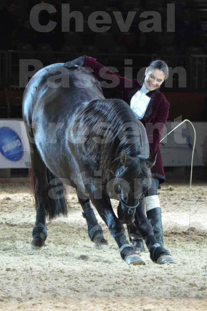 Cheval Passion 2014 - Frédériq VIGNE - Notre Sélection - 13