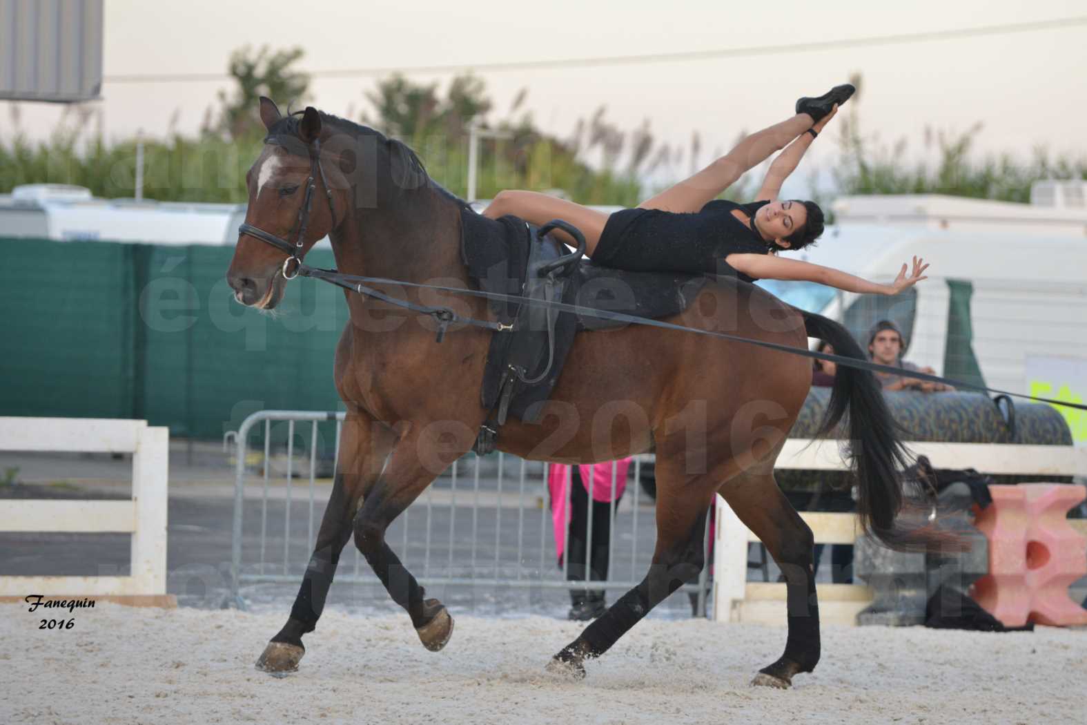 Centre équestre éphémère de la Foire de Montpellier 2016 - Mardi 11 Octobre 2016 - Nocturne - 2 Voltigeuses