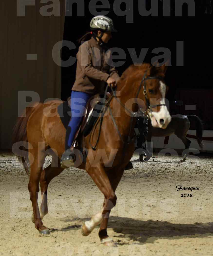 Cheval passion 2018 - Show des éleveurs - Chevaux ARABES - Notre Sélection - 30