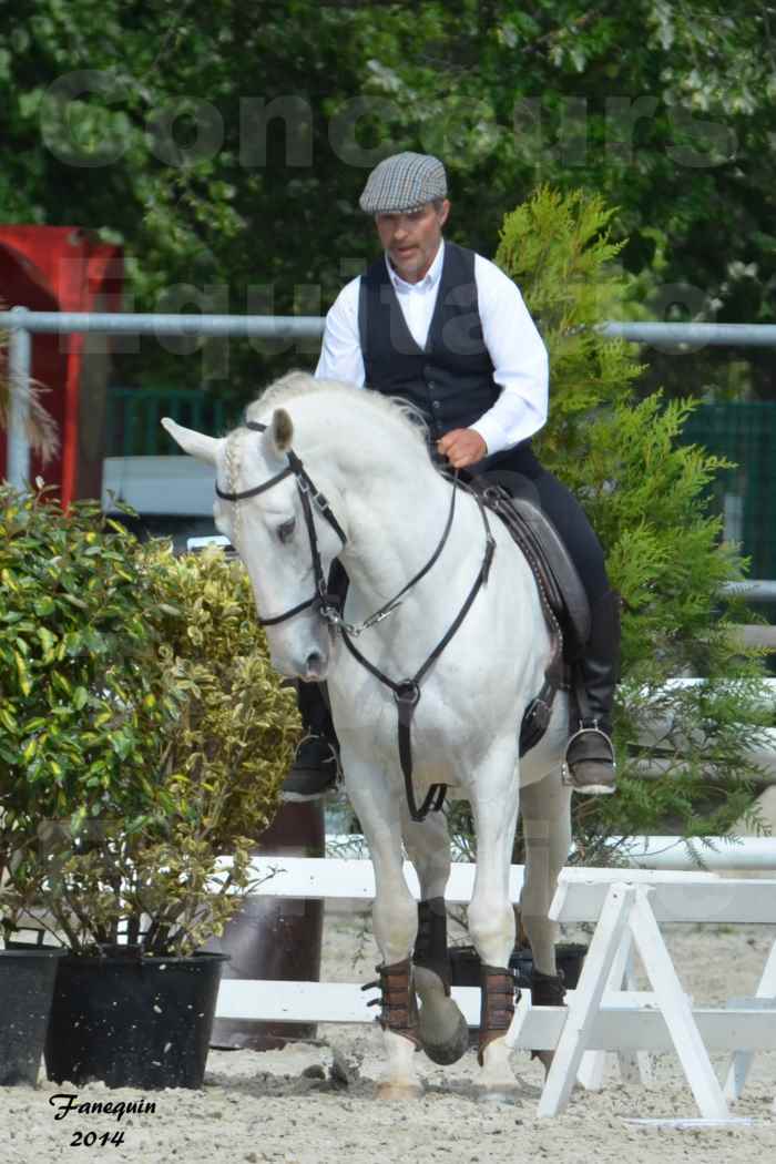 Salon Equitaine de Bordeaux en 2014 - concours Equitation de travail - Épreuve de Maniabilité chronométré - H - 04