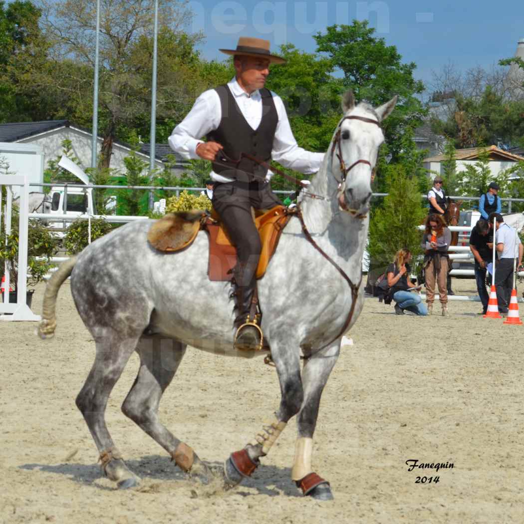 Salon Equitaine de Bordeaux en 2014 - concours Equitation de travail - Épreuve de Maniabilité chronométré - P - 04