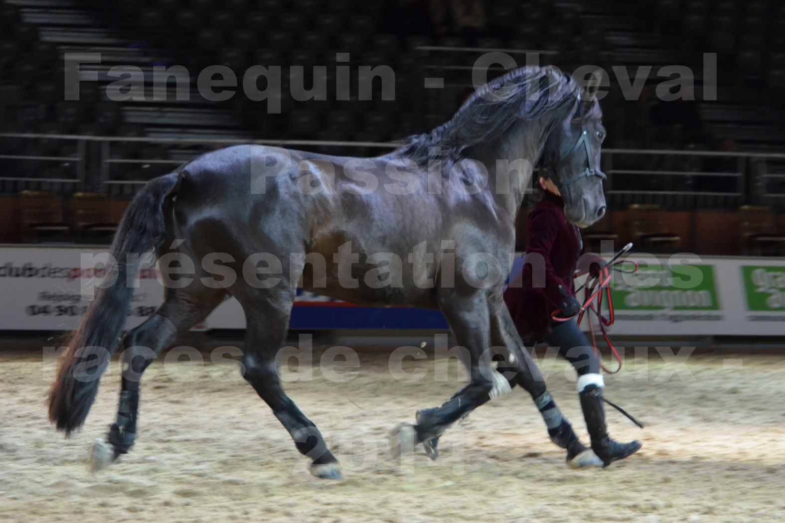 Cheval Passion 2014 - Frédériq VIGNE - Notre Sélection - 29