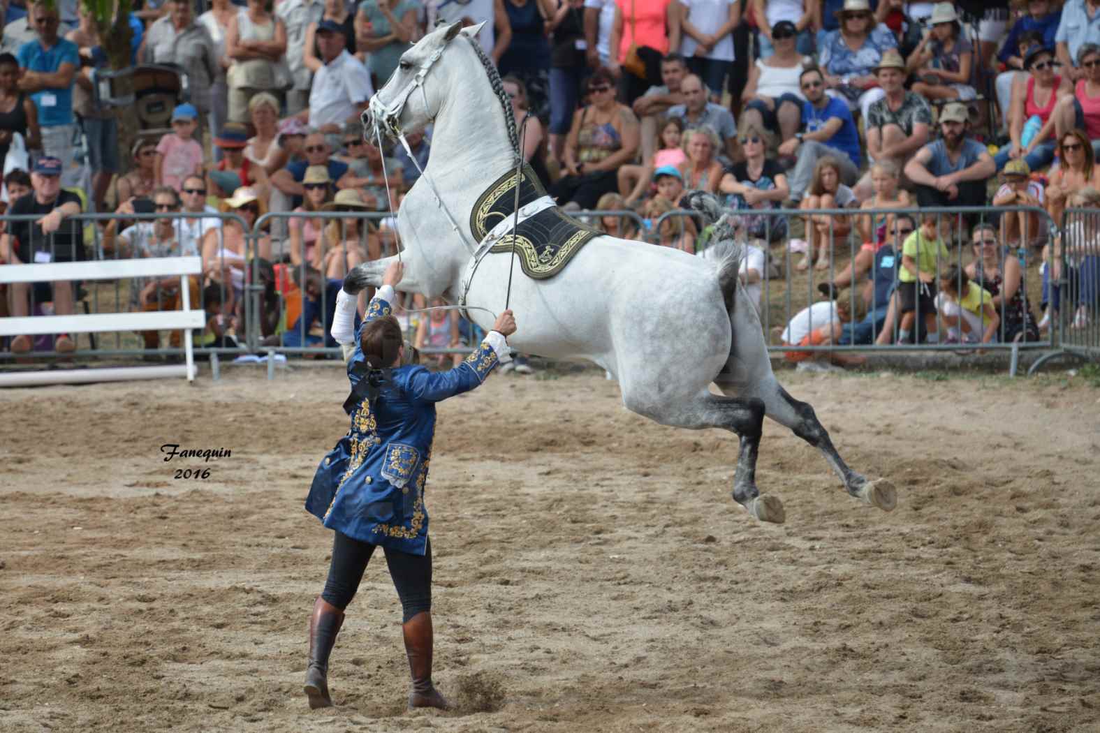 Spectacle équestre le 4 Septembre 2016 au Domaine de GAILLAC - Haute école avec la famille HASTALUEGO - 16