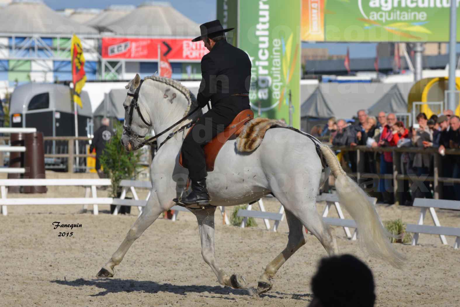 Salon Equitaine de Bordeaux 2015 - Concours d'Equitation de Travail avec chevaux Ibériques - K - 2