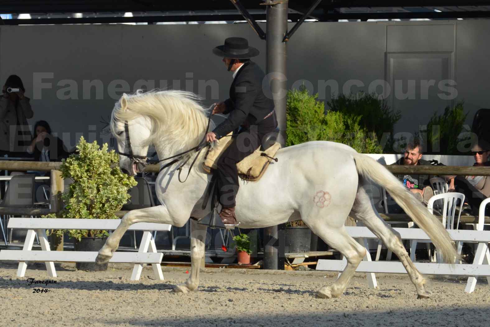 Salon Equitaine de Bordeaux en 2014 - concours Equitation de travail - Épreuve de Dressage - 16