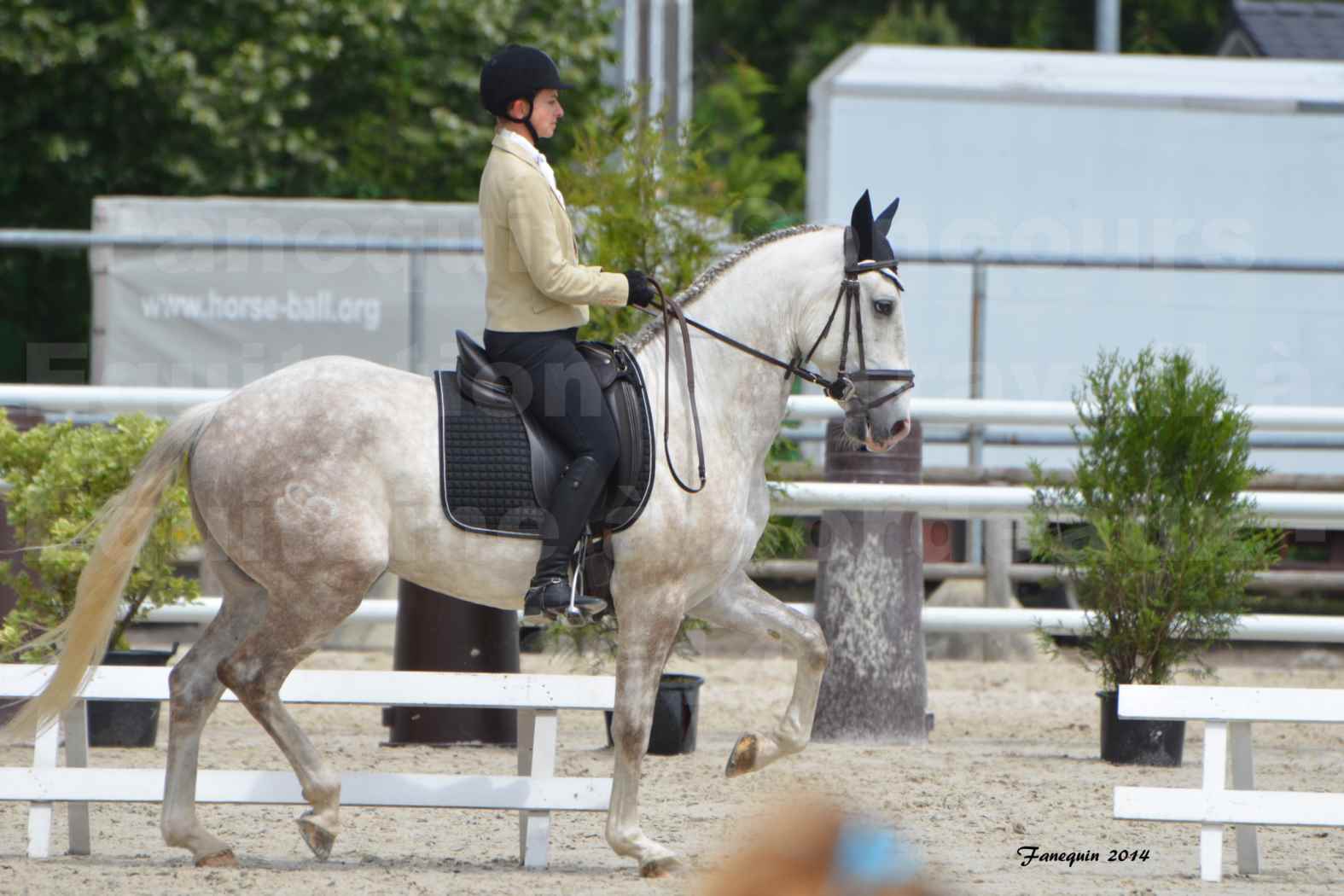 Salon Equitaine de Bordeaux en 2014 - concours Equitation de travail - Épreuve de Dressage - 02