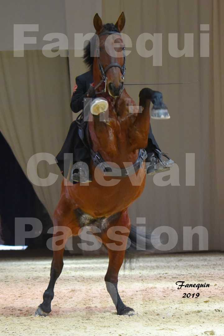 Cheval Passion 2019 - LUSITANIENS - Colette MARIEAUD