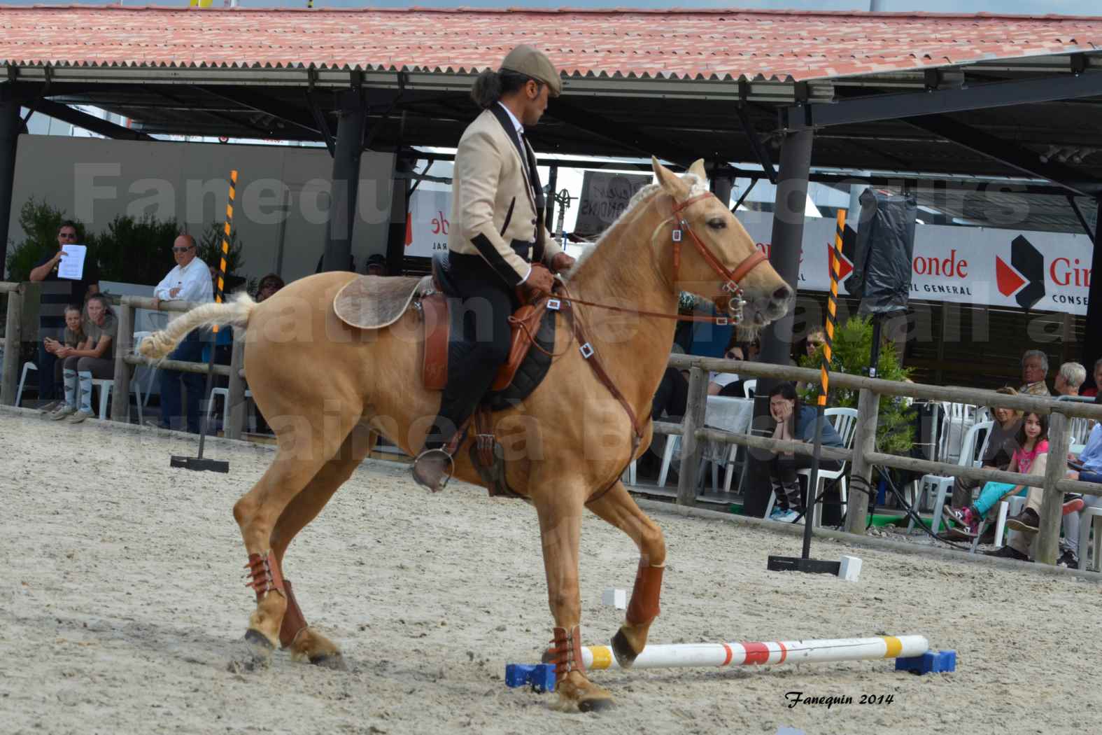 Salon Equitaine de Bordeaux en 2014 - concours Equitation de travail - Épreuve de Maniabilité chronométré - D - 09