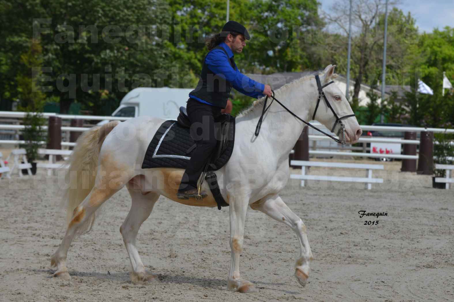 Salon Equitaine de Bordeaux 2015 - Concours d'Equitation de Travail avec chevaux Ibériques - B - 4
