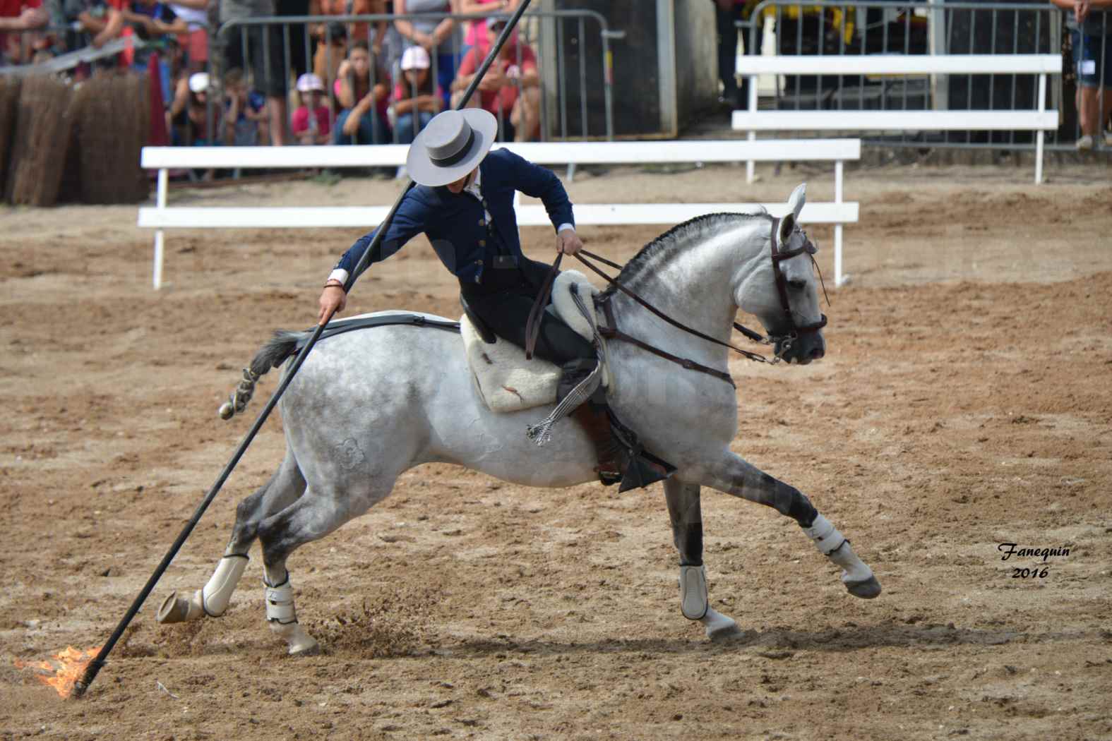 Spectacle équestre le 4 Septembre 2016 au Domaine de GAILLAC - Démonstration de Doma Vaquera - 13