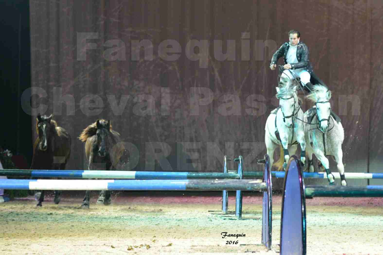 Cheval Passion 2016 - Spectacle les Crinières d'OR - LORENZO "Noir" - représentation du 23 janvier 2016 - 21