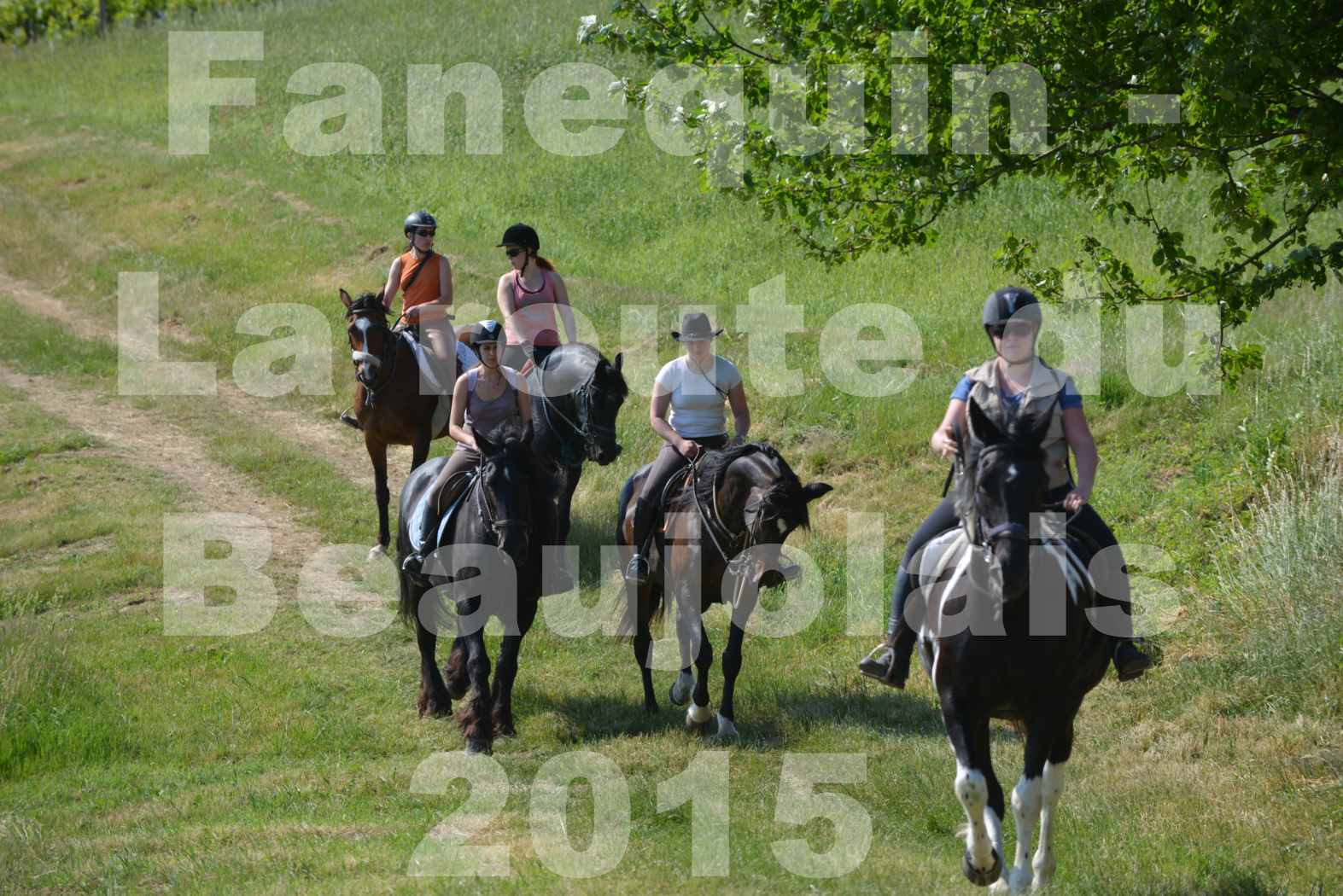 La Route Du Beaujolais 2015 - dimanche 24 mai 2015 - parcours en matinée - 65