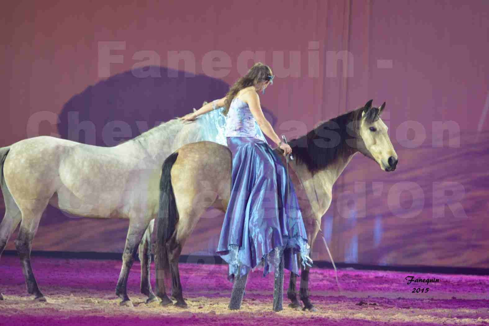 Cheval Passion 2015 - Spectacle des Crinières d'OR - Lucie VAUTHIER & 2 chevaux en liberté - 11