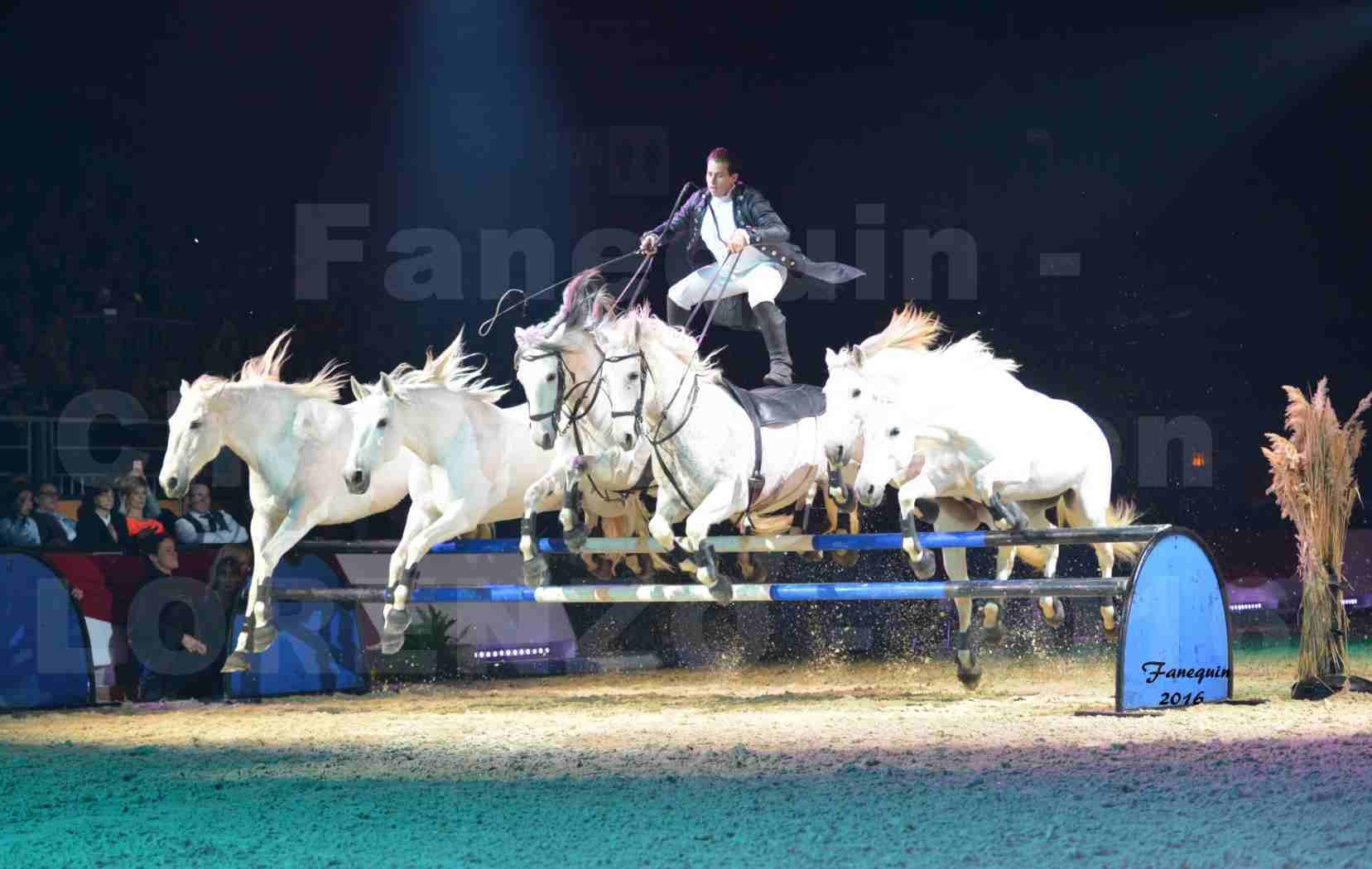 Cheval Passion 2016 - Spectacle les Crinières d'OR - LORENZO "Noir" - représentation du 20 janvier 2016 - 04