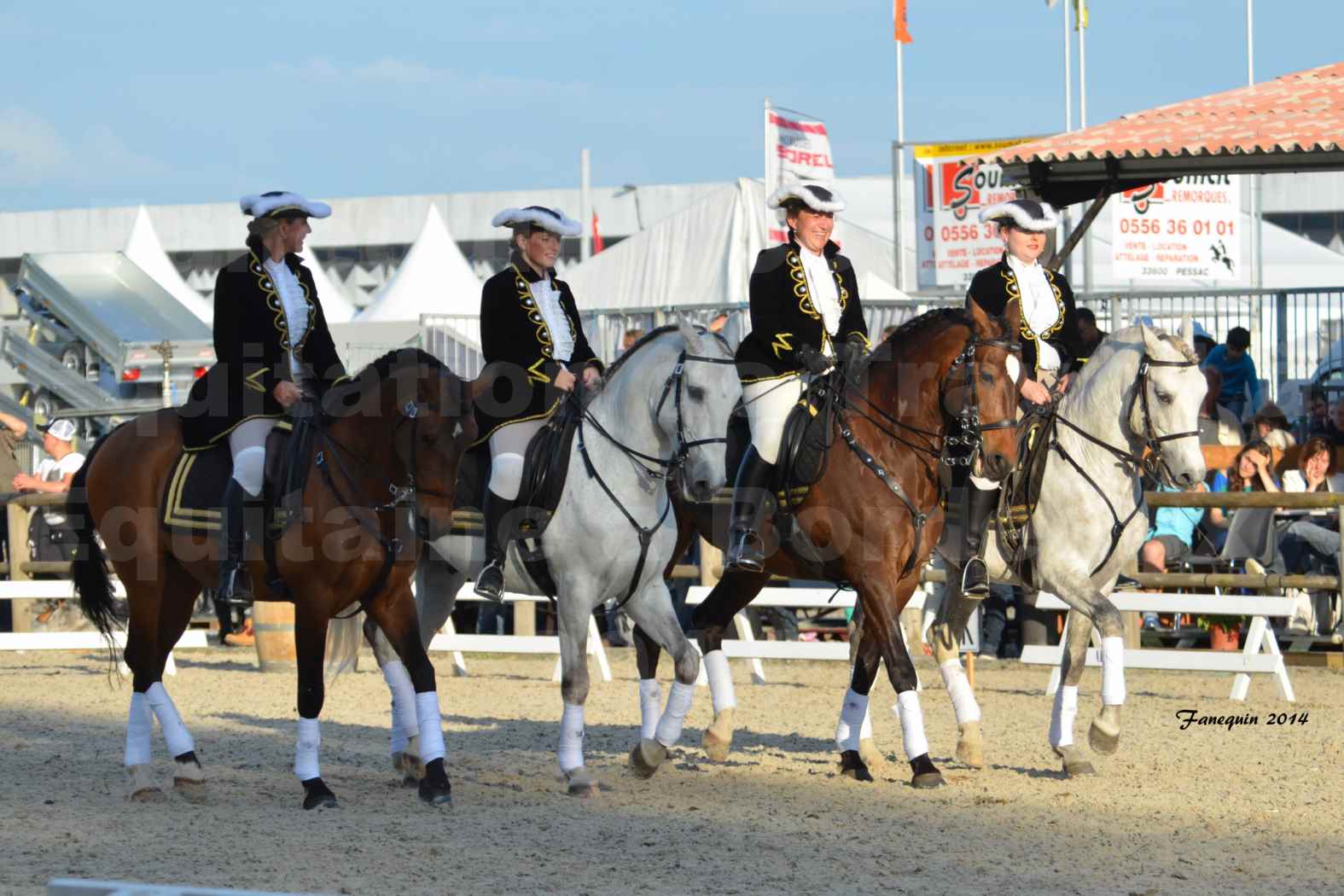 Carrousel de cavalières Equitation de travail lors du salon "Equitaine" à Bordeaux en 2014 - 65