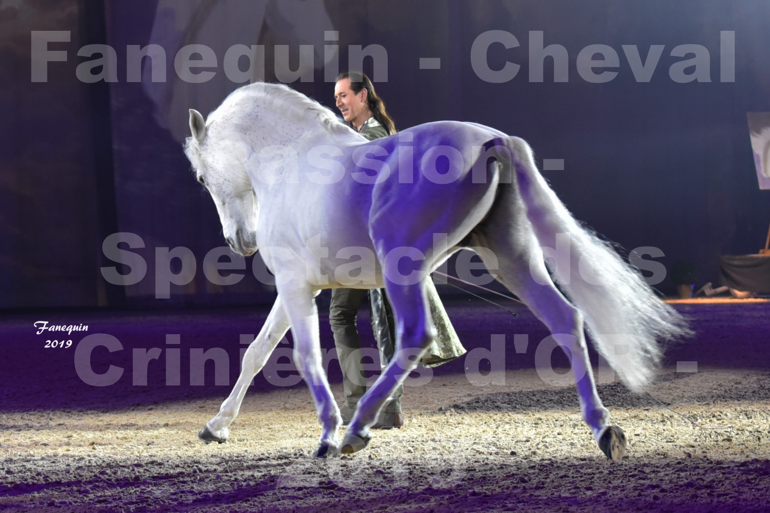 Cheval Passion 2019 - Spectacle des CRINIÈRES d'OR - Frédéric PIGNON & Cheval Gris en liberté - 1