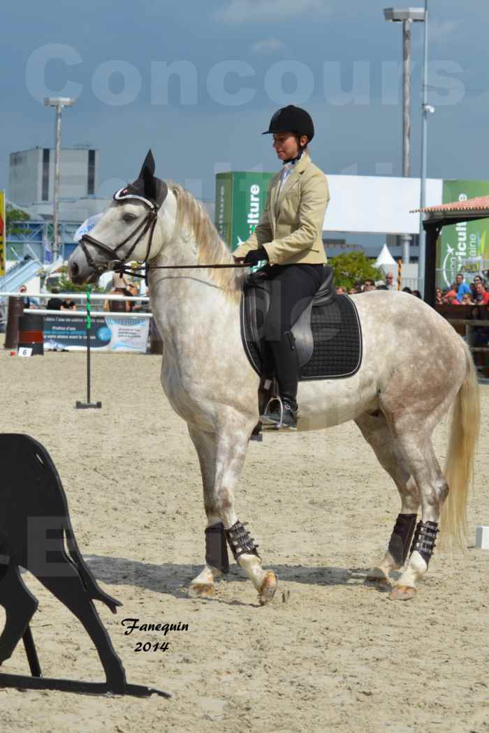 Salon Equitaine de Bordeaux en 2014 - concours Equitation de travail - Épreuve de Maniabilité chronométré - B - 02