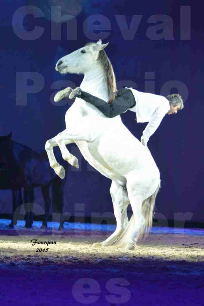 Cheval Passion 2015 - Les Crinières d'OR - Jean François PIGNON - 3