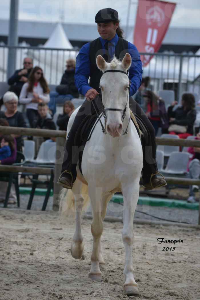 Salon Equitaine de Bordeaux 2015 - Concours d'Equitation de Travail avec chevaux Ibériques - B - 1