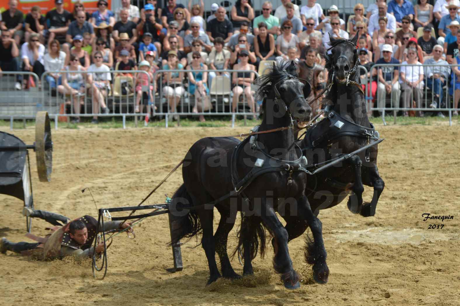 Spectacle Équestre - Salon Pêche Chasse Nature à Saint Gely du Fesc - 