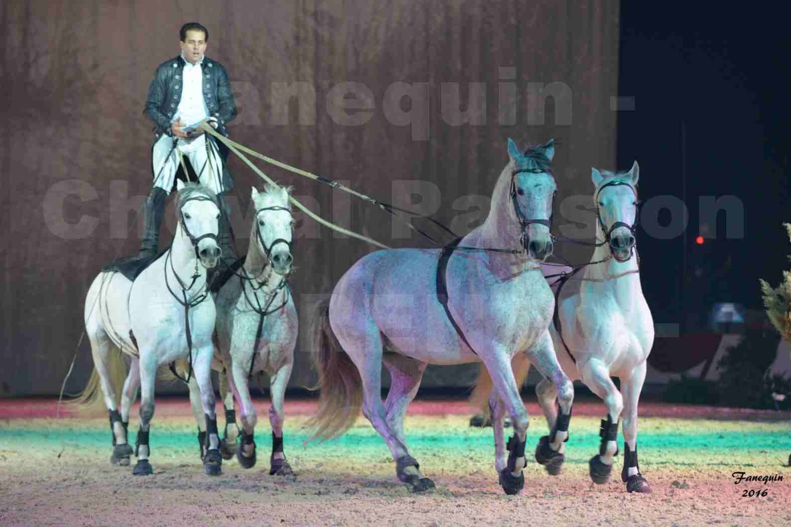 Cheval Passion 2016 - Spectacle les Crinières d'OR - LORENZO "Noir" - représentation du 20 janvier 2016 - 14