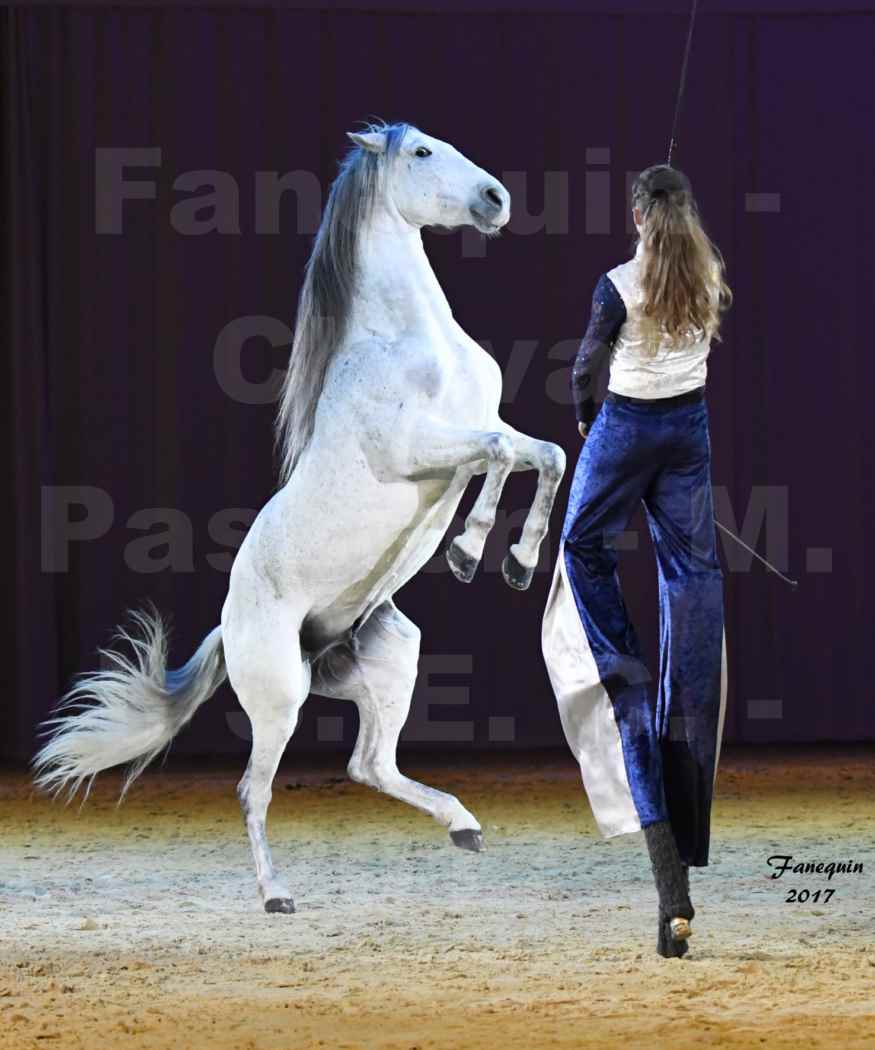 Cheval Passion 2017 - M. I. S. E. C. - Lucie VAUTHIER & 3 chevaux en liberté - 16