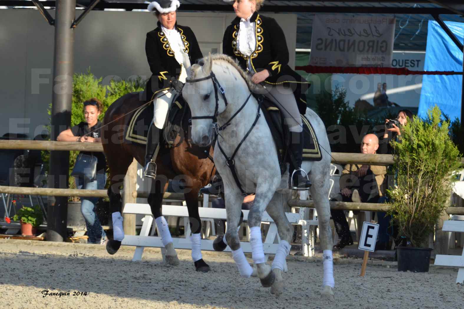 Carrousel de cavalières Equitation de travail lors du salon "Equitaine" à Bordeaux en 2014 - 49