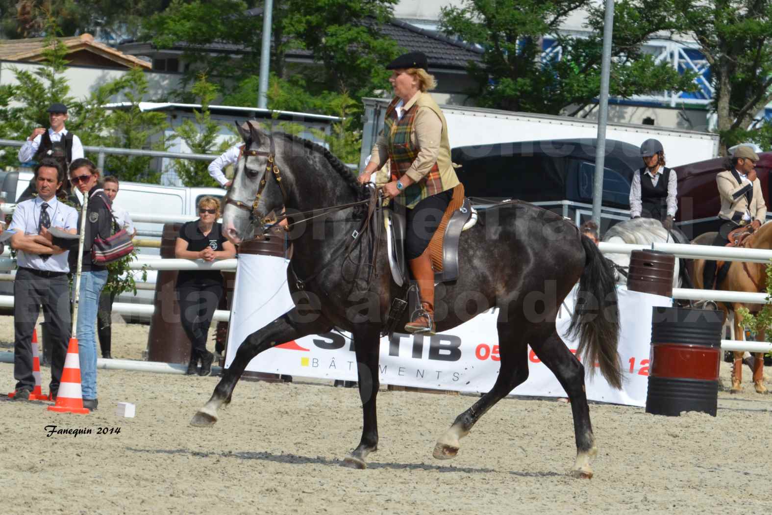 Salon Equitaine de Bordeaux en 2014 - concours Equitation de travail - Épreuve de Maniabilité chronométré - F - 03