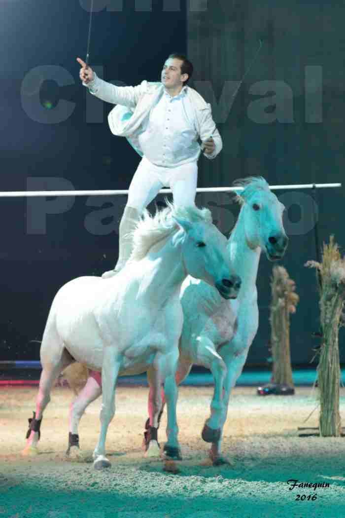 Cheval Passion 2016 - Spectacle les Crinières d'OR - LORENZO "Blanc" - représentation du 23 janvier 2016 - 08