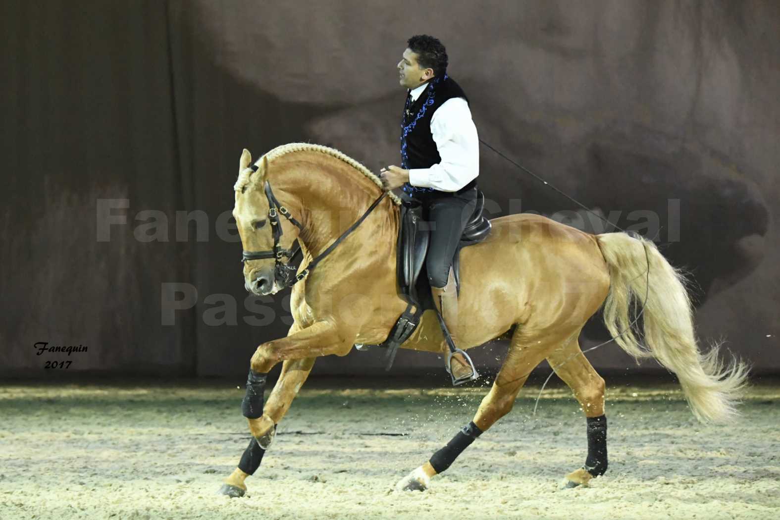 Cheval Passion 2017 - gala des Crinières d'OR - GARI ZOHER - 11