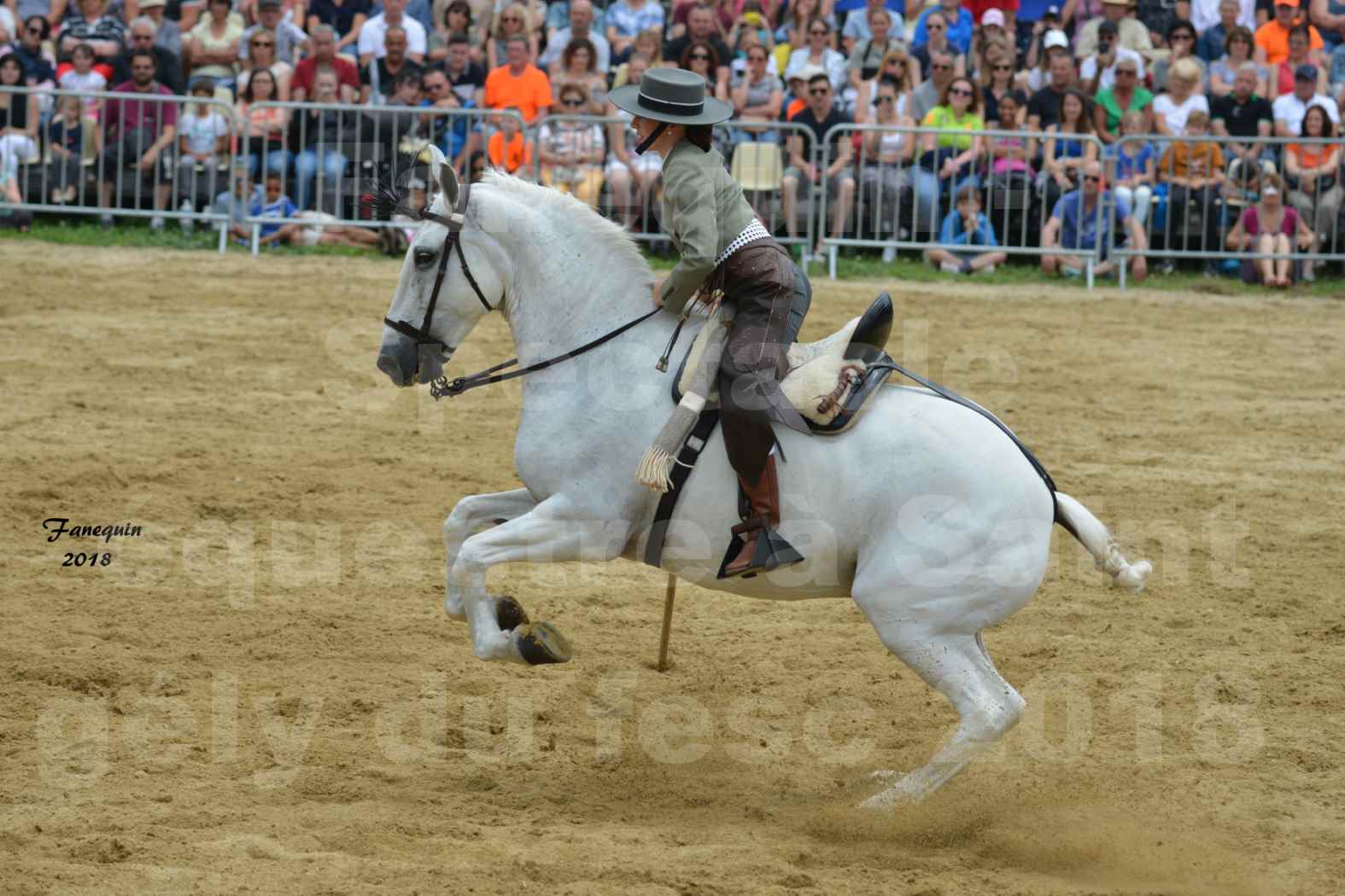 Spectacle Équestre lors du Salon Chasse Pêche Nature  le 3 juin 2018 à Saint Gély du Fesc - ALMA VAQUERA - 10