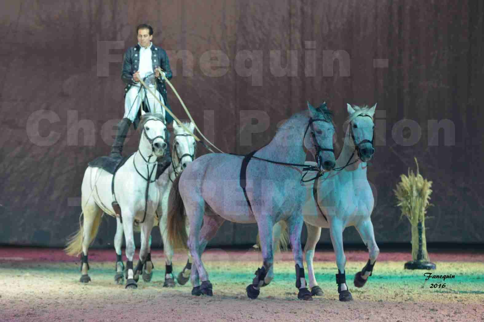 Cheval Passion 2016 - Spectacle les Crinières d'OR - LORENZO "Noir" - représentation du 20 janvier 2016 - 13