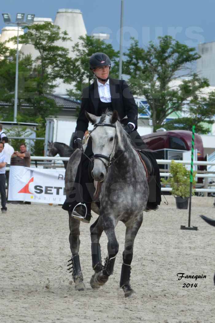 Salon Equitaine de Bordeaux en 2014 - concours Equitation de travail - Épreuve de Maniabilité chronométré - C - 3